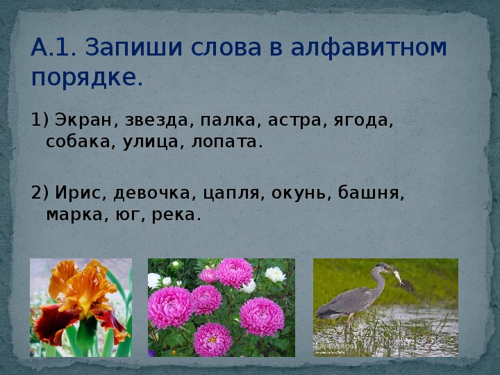 Напиши слова названия рисунков в алфавитном порядке 1 класс