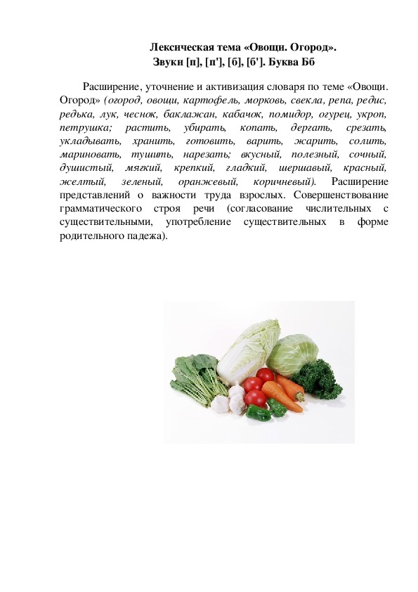 Лексическая тема «Овощи. Огород». Звуки [п], [п'], [б], [б']. Буква Бб