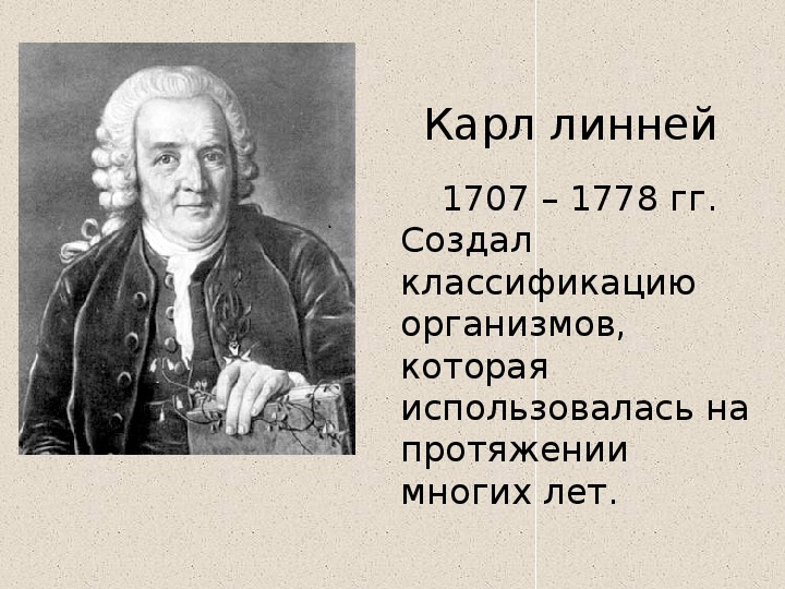 Ученый линней вклад в биологию. Карл Линней биология. Карл Линней вклад в биологию. Карл Линней вклад в био. Линней вклад в биологию.