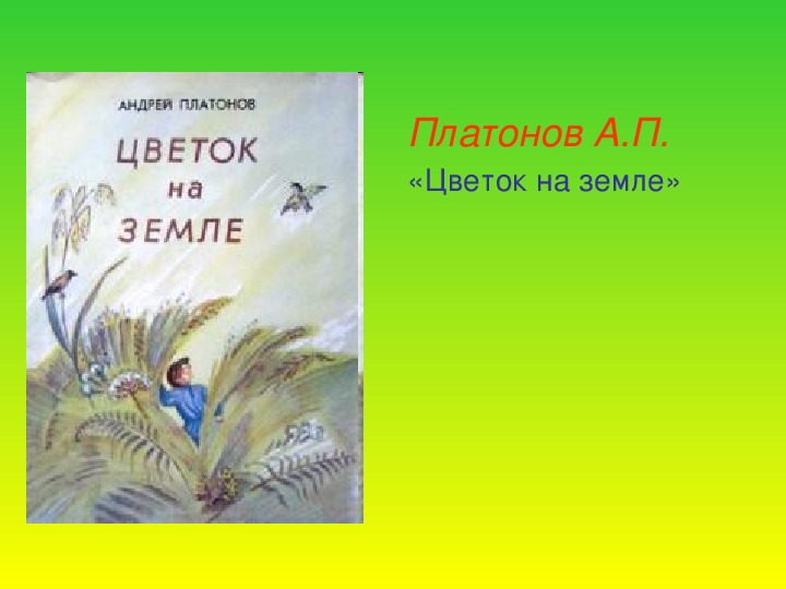 Урок литературного чтения Презентация на тему "«Цветок на земле» Платонов А.П." 3 класс.