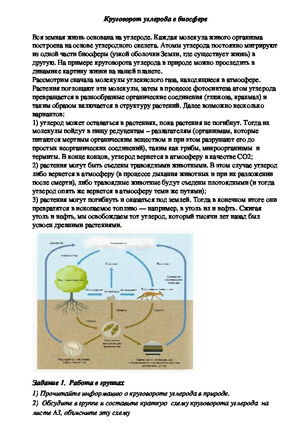 Технологическая карта урока "Связь живого и неживого в природе" 5 класс
