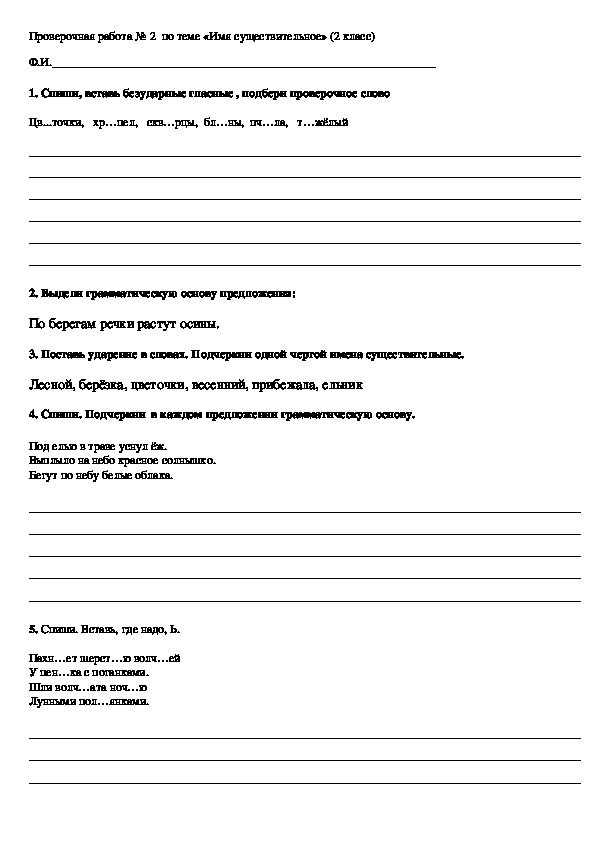 Проверочная работа №2 по русскому языку на тему "Имя существительное" (2 класс, русский язык)