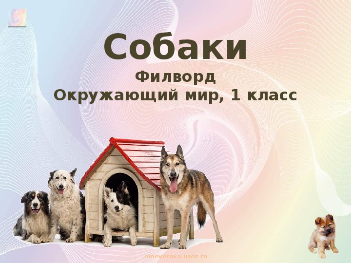 Обложка для материала Многослойный филворд "Собаки"
