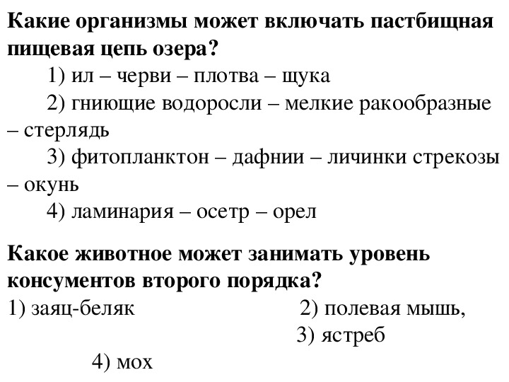 Презентации и видео для профильных классов