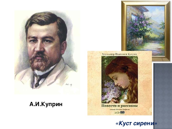 Куст сирени главные герои. Куприн куст сирени характеристика героев. Отзыв на куст сирени Куприна.