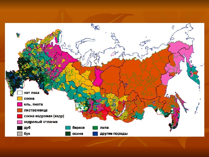 Карта россии с лесами