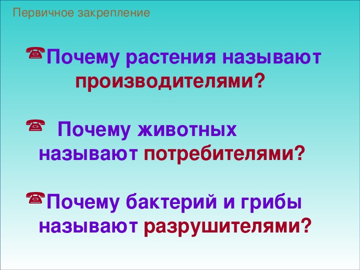 Растения производители