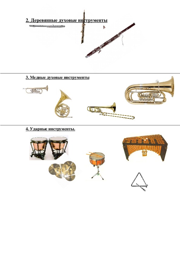 Духовые инструменты с названиями и фото в оркестре