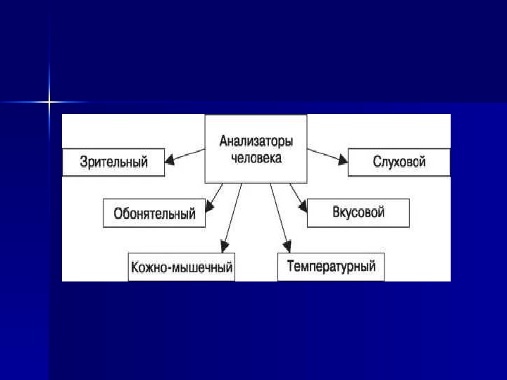 Презентация по биологии на тему анализаторы 8 класс