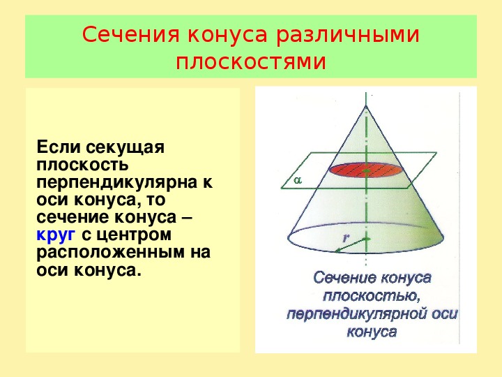 Конус геометрия презентация