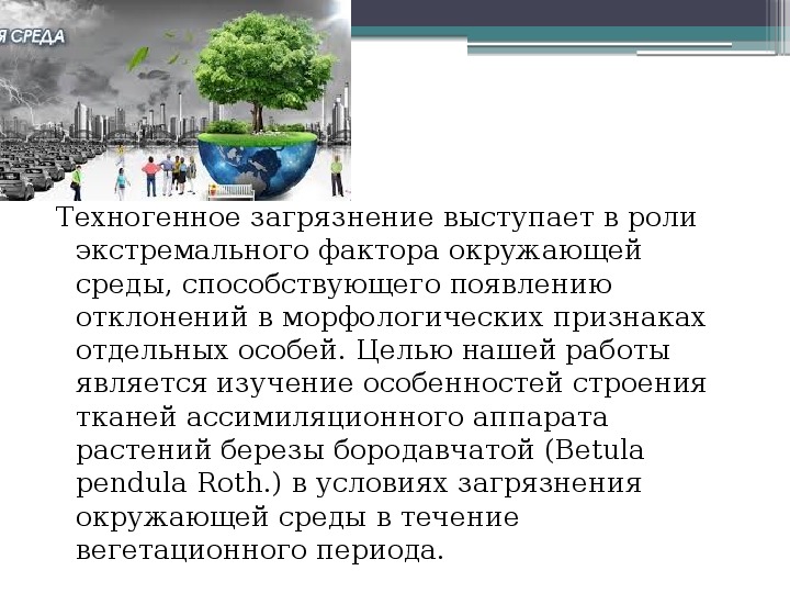 Итоговая конференция взаимосвязи организмов и окружающей среды 9 класс презентация