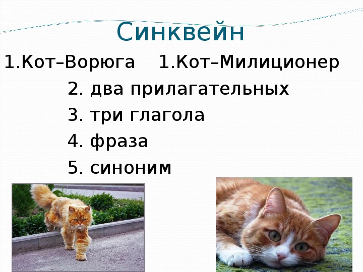 Анализ рассказа кот ворюга
