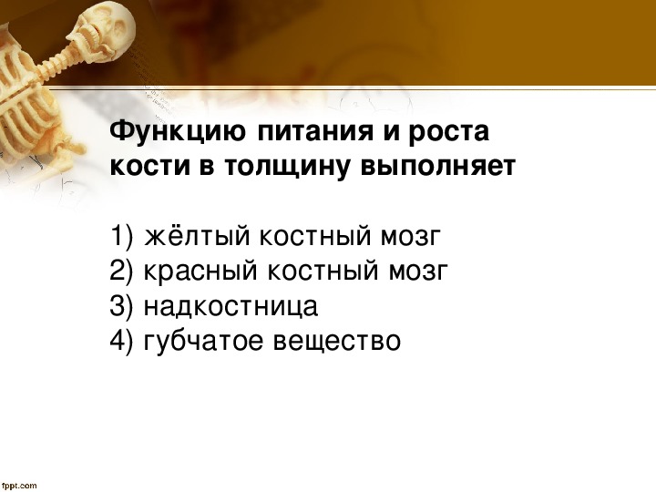 Рост кости в толщину. Функцию питания и роста кости выполняет. Функцию питания и роста кости в толщину. Функцию питания и роста кости в толщину выполняет. Функциюпитания и Ромта Косьи выполняет.