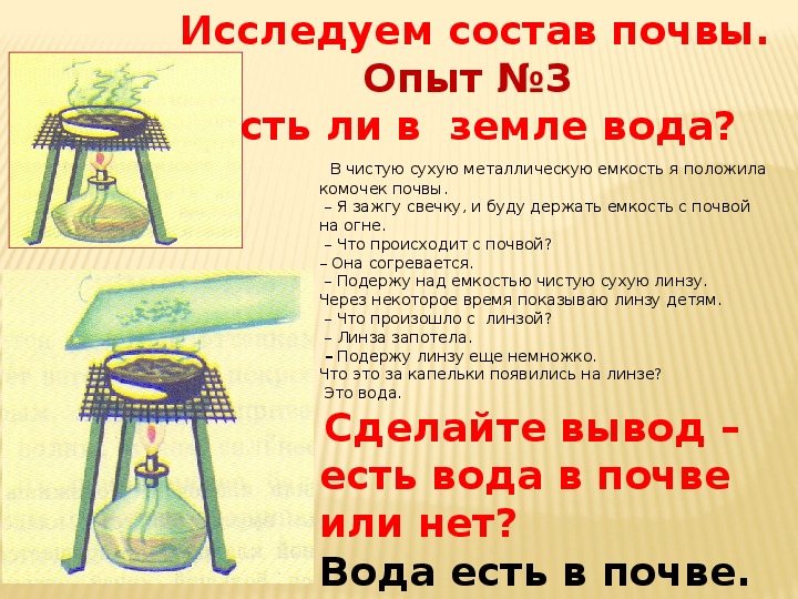 Исследуем состав почвы