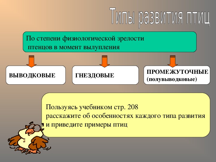 Годовой жизненный цикл и сезонные явления в жизни птиц презентация 7 класс