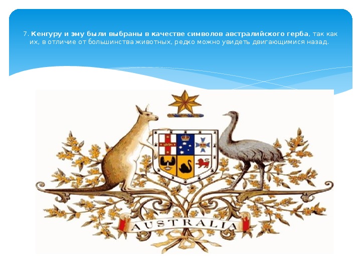 Какой символ австралии. Кенгуру и эму символ Австралии. Герб Австралии. Кенгуру на гербе Австралии. Герб на аву.