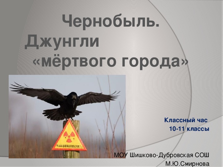 Классный час на тему "Чернобыль. Джунгли "мёртвого города" (10-11 классы)