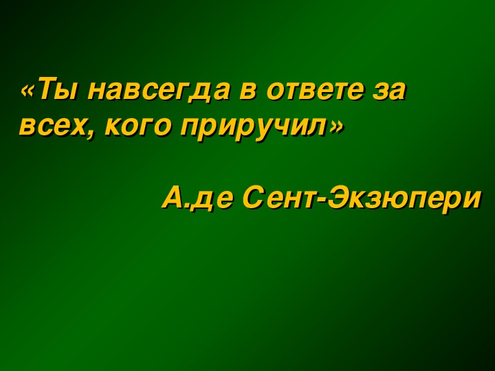 Сочувствие и сострадание в кусаке. Кусака. Кусака Андреев вывод. Сострадание и сочувствие в произведении кусака. Кусака вывод.