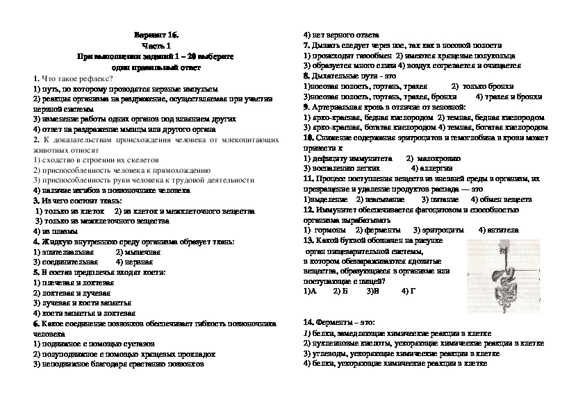 Диагностическая работа по биологии за курс 8 класса в форме и по материалам ОГЭ. Вариант 16.