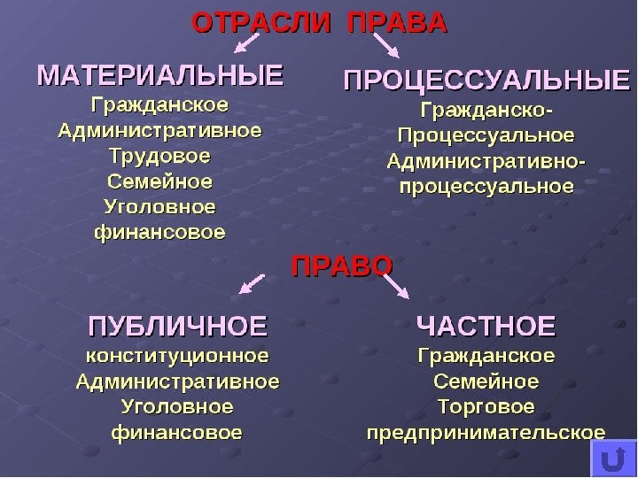 Презентация по обществознанию 10 класс процессуальные отрасли права боголюбов