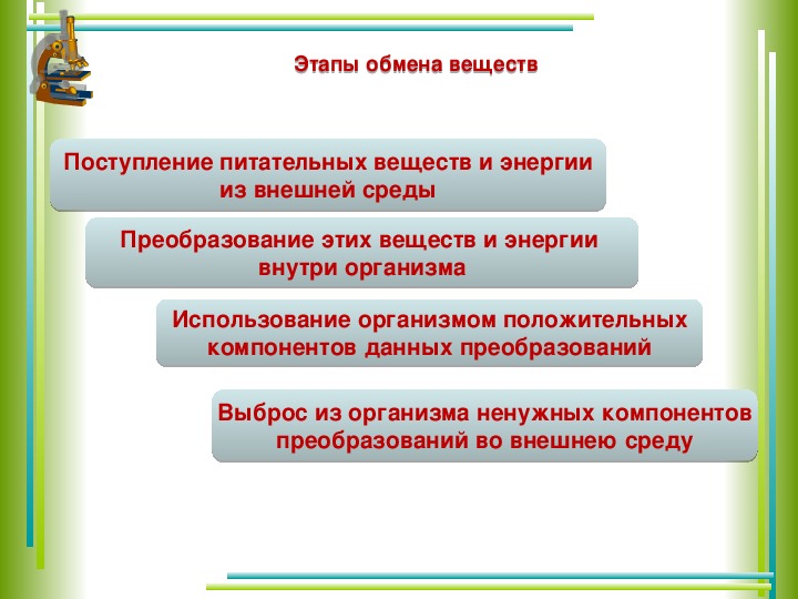 Презентация биология 8 класс сознание мышление речь