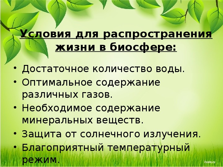 Жизнь в биосфере. Условия жизни в биосфере. Условия жизни. Условия жизни человека. Приемлемые условия жизни.