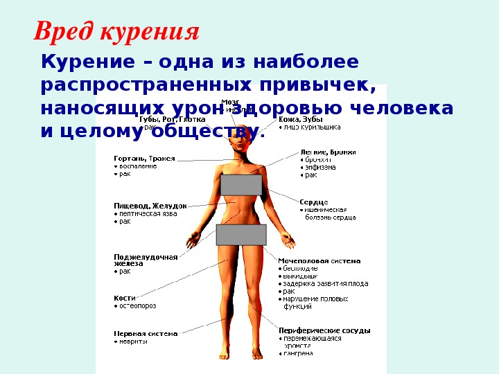 Влияние никотина на здоровье человека презентация