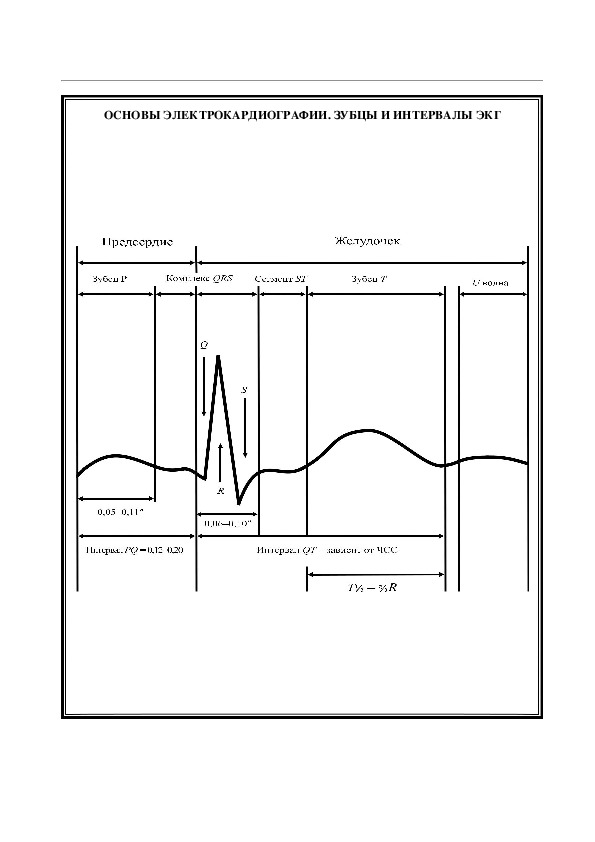 Зубцы и интервалы экг. Интервалы ЭКГ. Интервалы ЭКГ S 380.