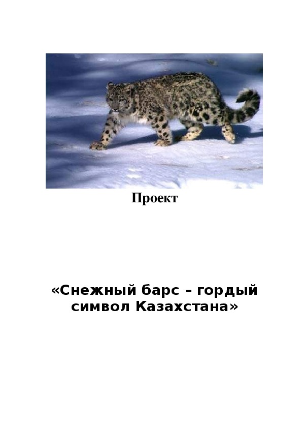 Исследовательская работа «Снежный барс – гордый символ Казахстана»
