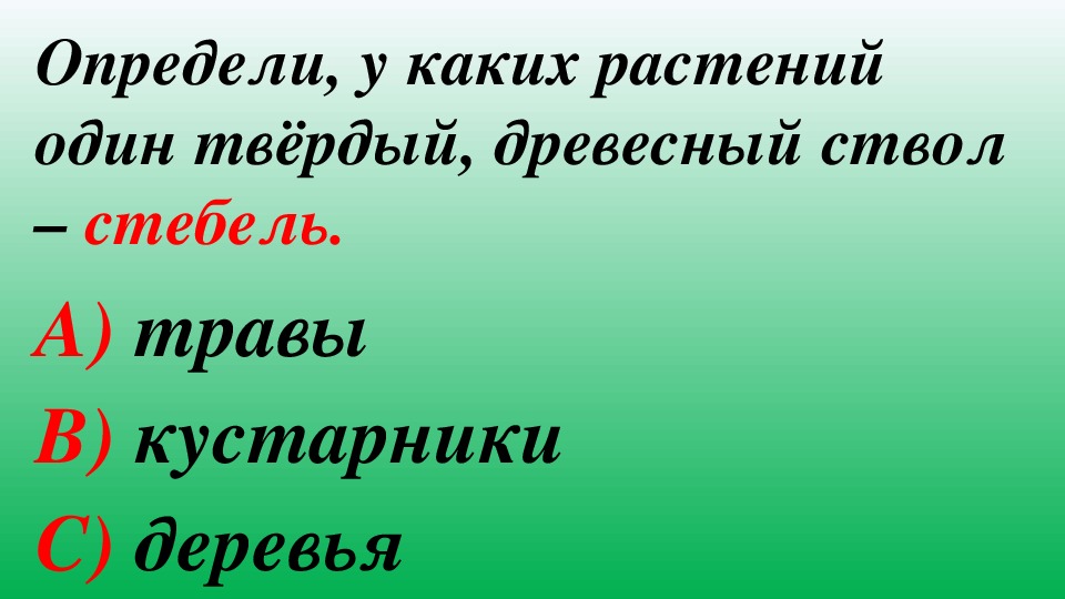 Узнаваем или узнаем. У каких растений один твердый древесный ствол-стебель. У каких растений 1 твердый древесный ствол. Определи у каких растений 1 твердый древесный ствол. Определите у каких растений один твёрдый древесный ствол стебель.