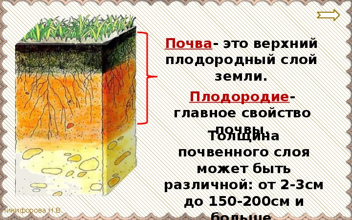Плодородие это свойство почвы которое. Плодородный слой почвы. Верхний слой почвы. Почва верхний слой земли. Верхний плодородный слой почвы.