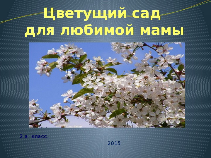 Обложка для материала 8 марта