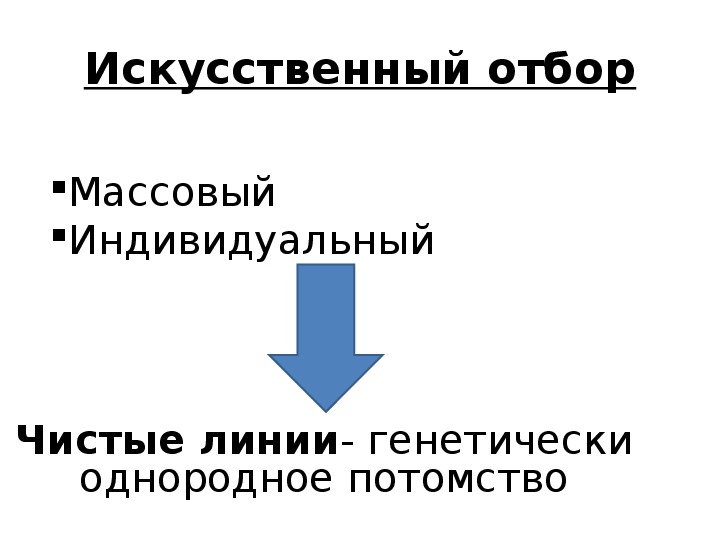 Селекция и биотехнология презентация