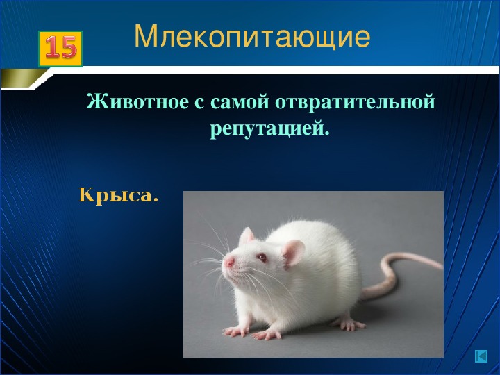 Порода это класс биология. Животное с самой отвратительной репутацией. Животное с отвратительной репутацией 5 букв. Животное с самой отвратительной репутацией 5. Многообразие животных 7 класс биология.