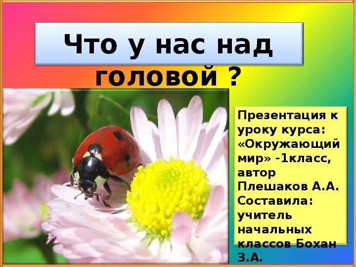 Сценарий урока по окружающему миру «Что у нас над головой?» (1 класс)