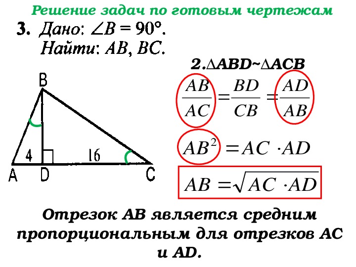 Пропорциональные отрезки 8