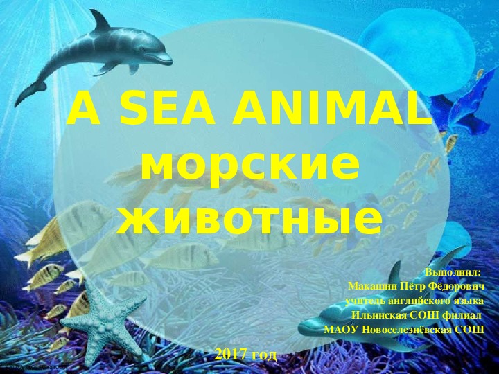 Презентация по английскому языку на тему "A SEA ANIMAL" (6 класс)