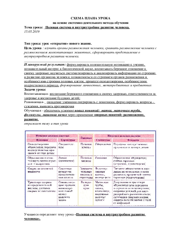 Обложка для материала "Половая система и внутриутробное развитие человека» план- конспект урока.