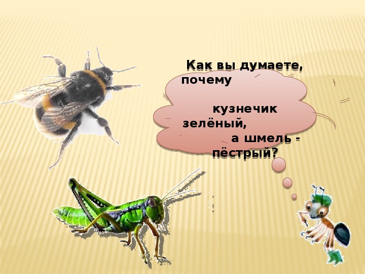 Насекомые конспект по окружающему миру. Насекомые это 1 класс окружающий мир школа России. Насекомые 1 класс окружающий мир. Презентация насекомые 1 класс. Кто такие насекомые 1 класс.