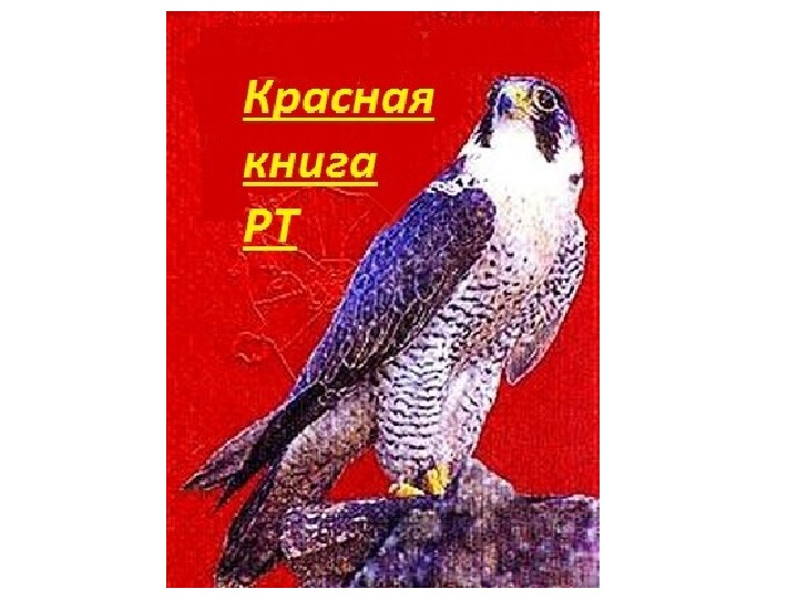 Картинки из красной книги татарстана