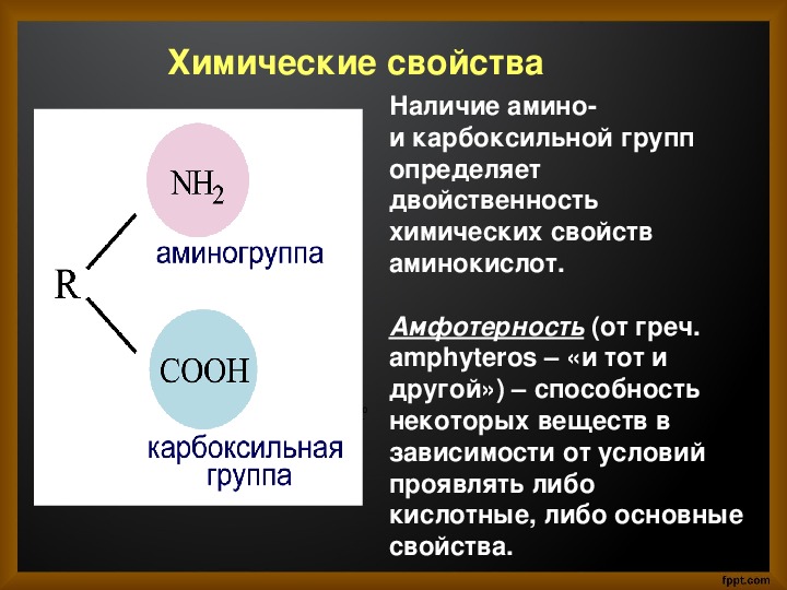 Презентация на тему аминокислоты 10 класс химия