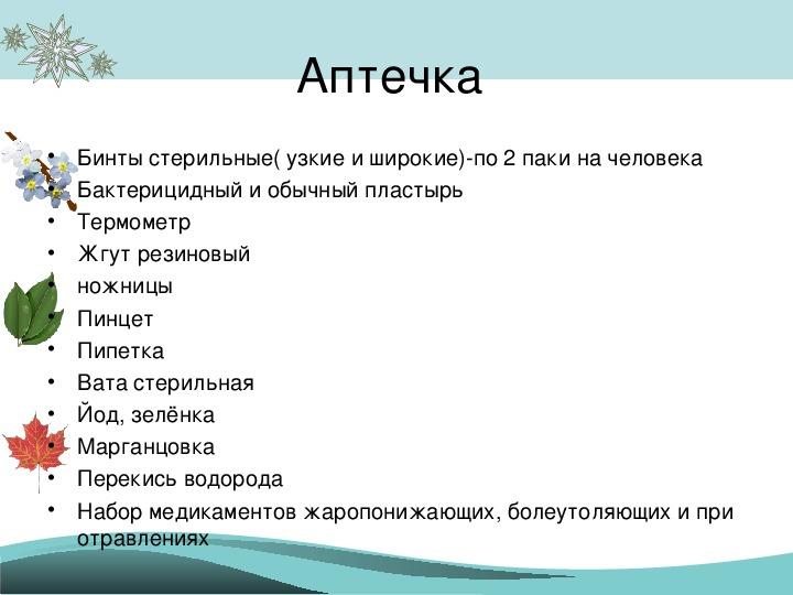 Проект экскурсия в природу 6 класс