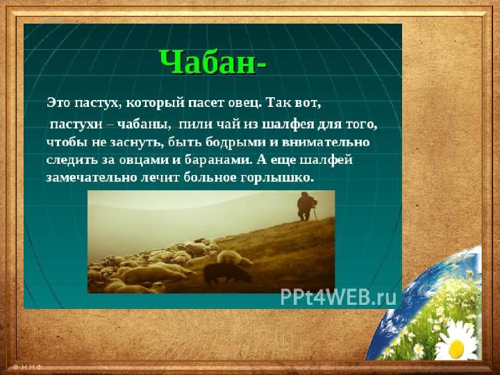 Кто такой чабан. Загадка про пастуха. Чабан профессия. Загадка про Пастухов. Чабан это человек который.