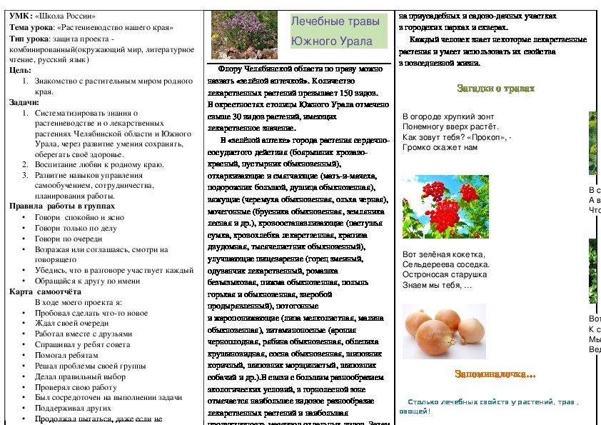 Буклет про чай в школу для проекта