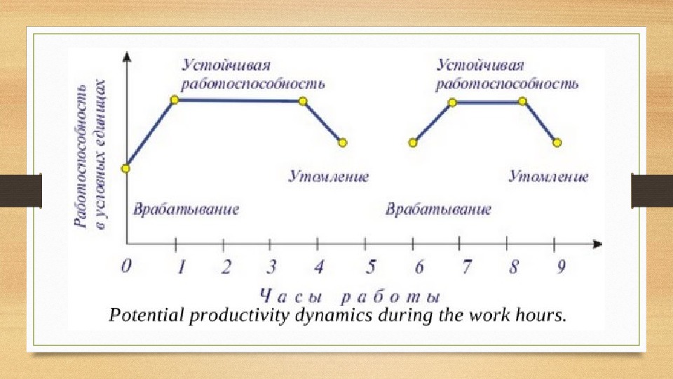 Режим дня презентация 8 класс по биологии