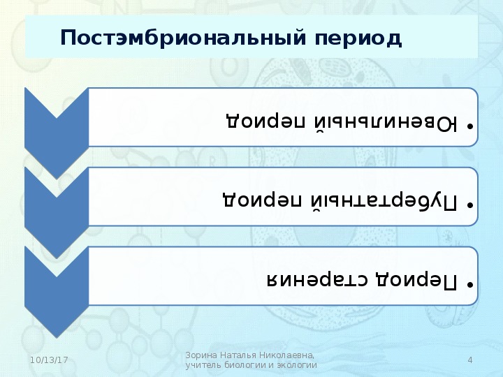 9 класс постэмбриональное развитие презентация