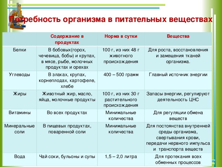 Виды питательных веществ