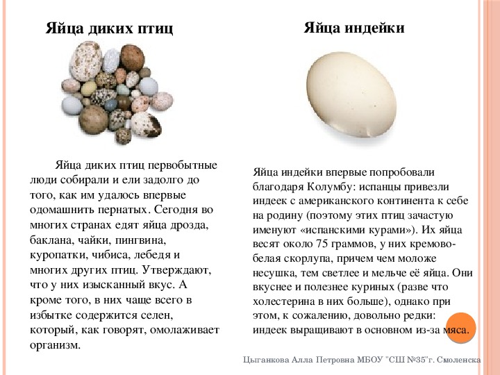 Сколько грамм скорлупы в яйце. Яйцо индейки размер. Размер яиц индюшек. Размер индюшиного яйца. Какие бывают яйца у птиц.