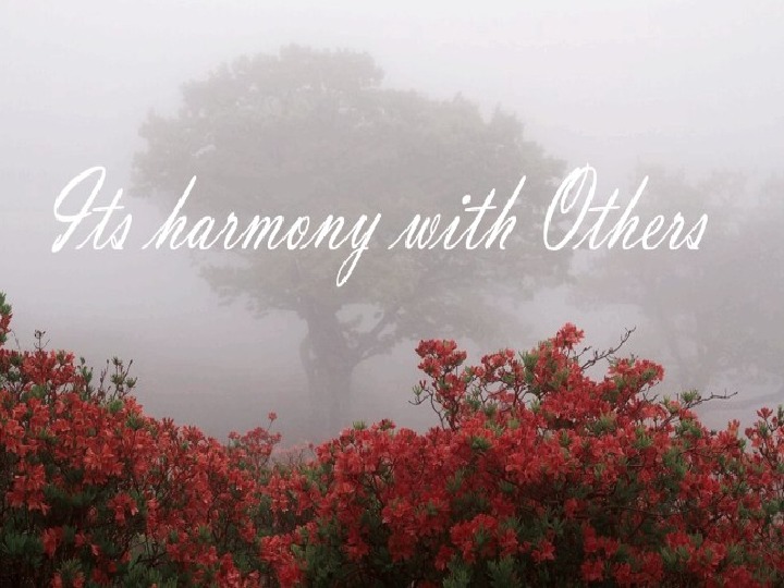 In harmony with the world презентация