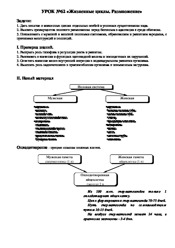 Презентация по биологии 8 класс жизненные циклы размножение